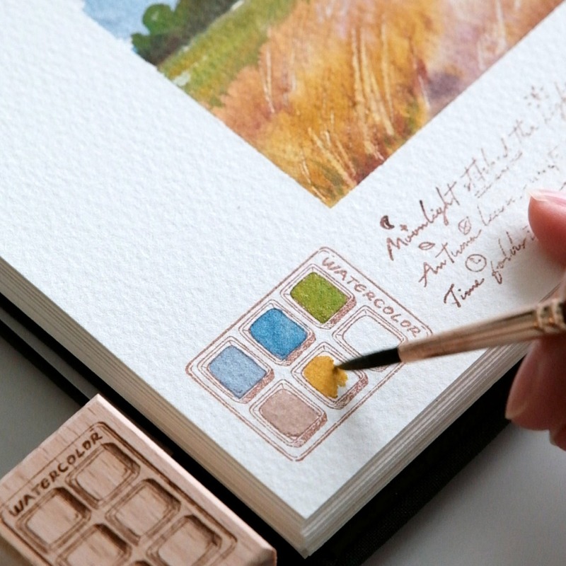 6 Grid Watercolor Color Card W - Tools Qa avaliação e preço